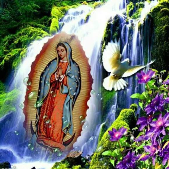 claraparra